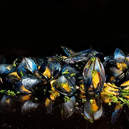 Hotel Boutique Provence бутик прованс 3*